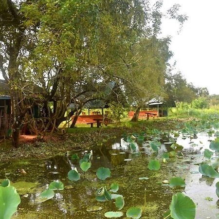 Meegahapokuna Resort Anuradhapura Exterior foto