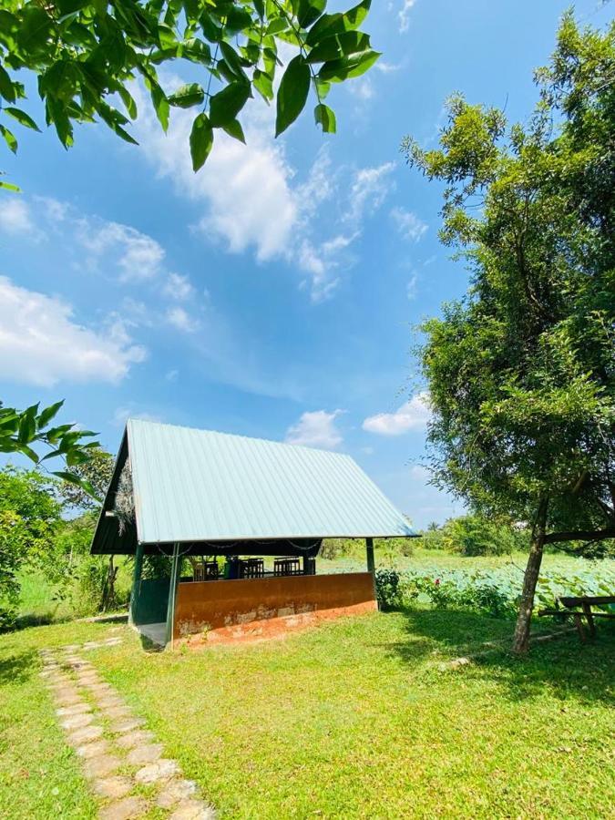 Meegahapokuna Resort Anuradhapura Exterior foto