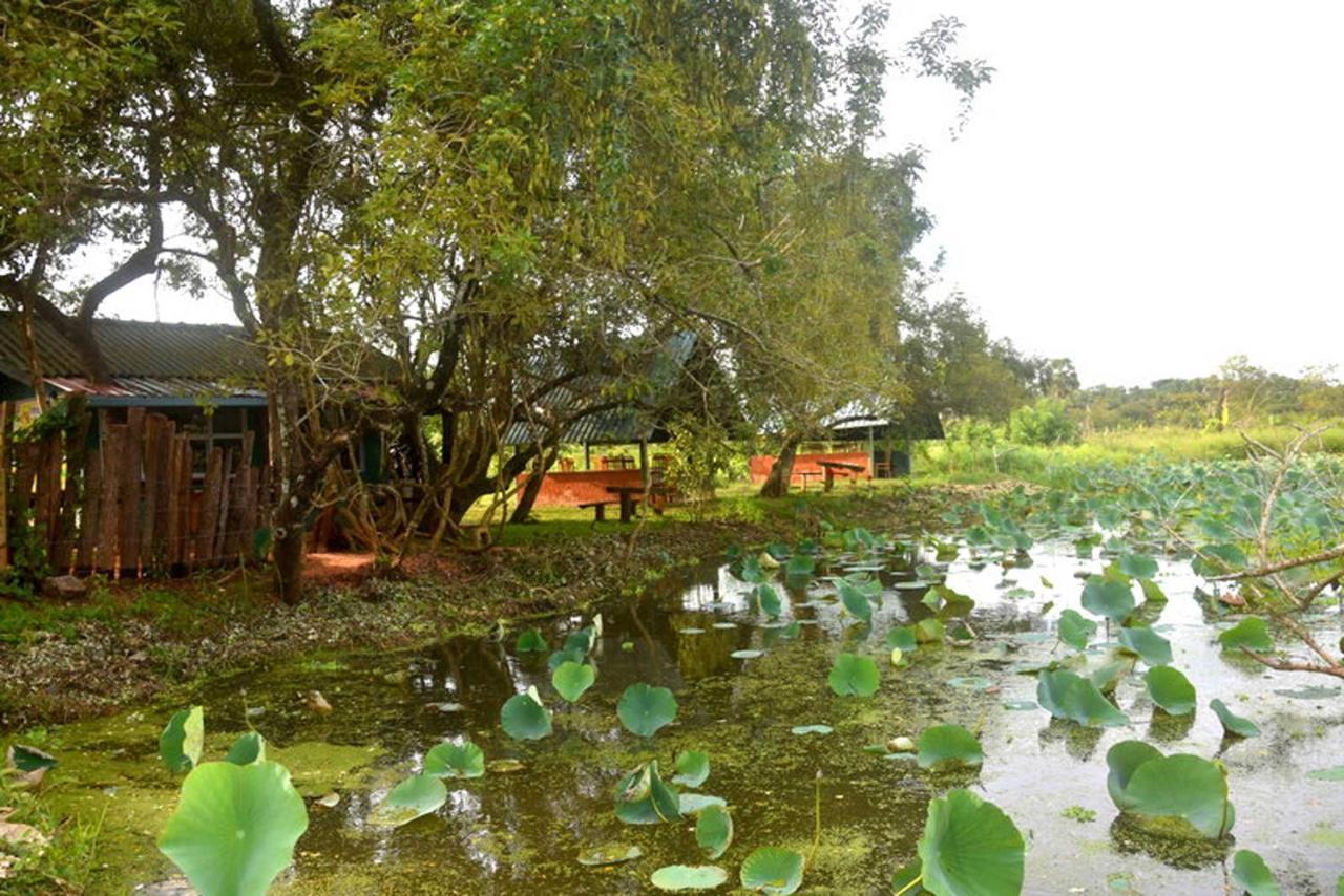 Meegahapokuna Resort Anuradhapura Exterior foto
