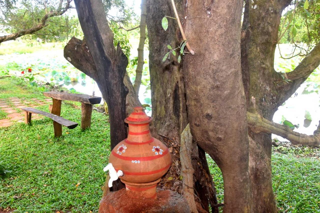 Meegahapokuna Resort Anuradhapura Exterior foto