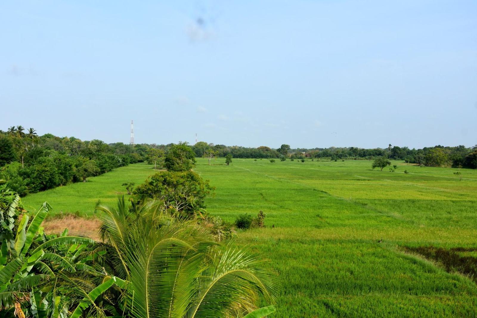 Meegahapokuna Resort Anuradhapura Exterior foto