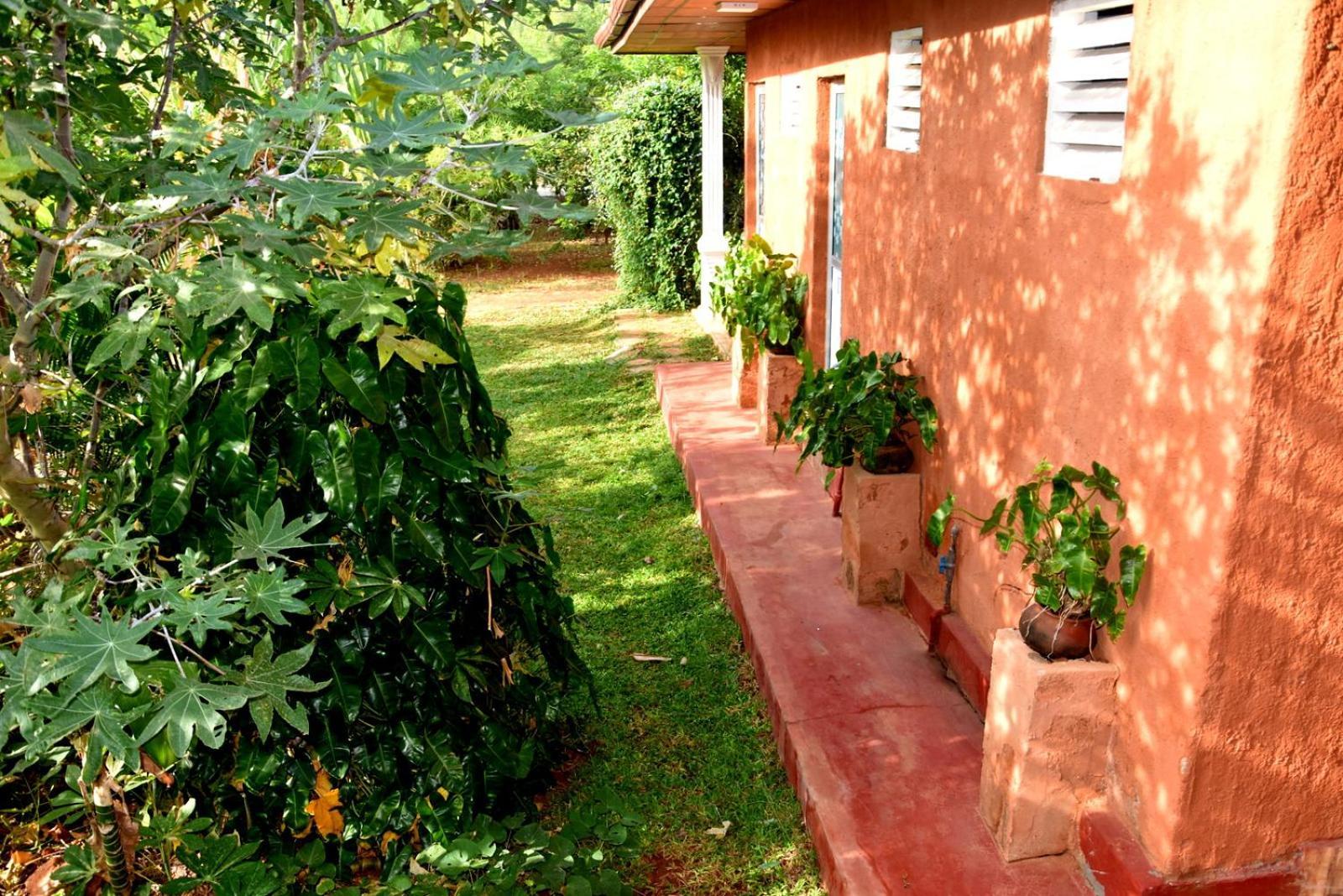 Meegahapokuna Resort Anuradhapura Exterior foto