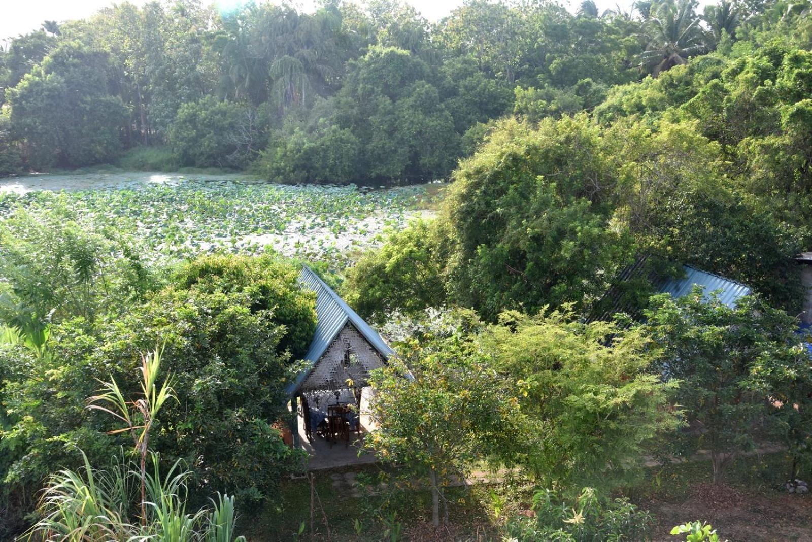 Meegahapokuna Resort Anuradhapura Exterior foto
