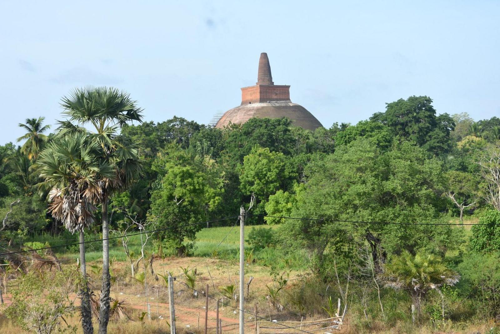 Meegahapokuna Resort Anuradhapura Exterior foto