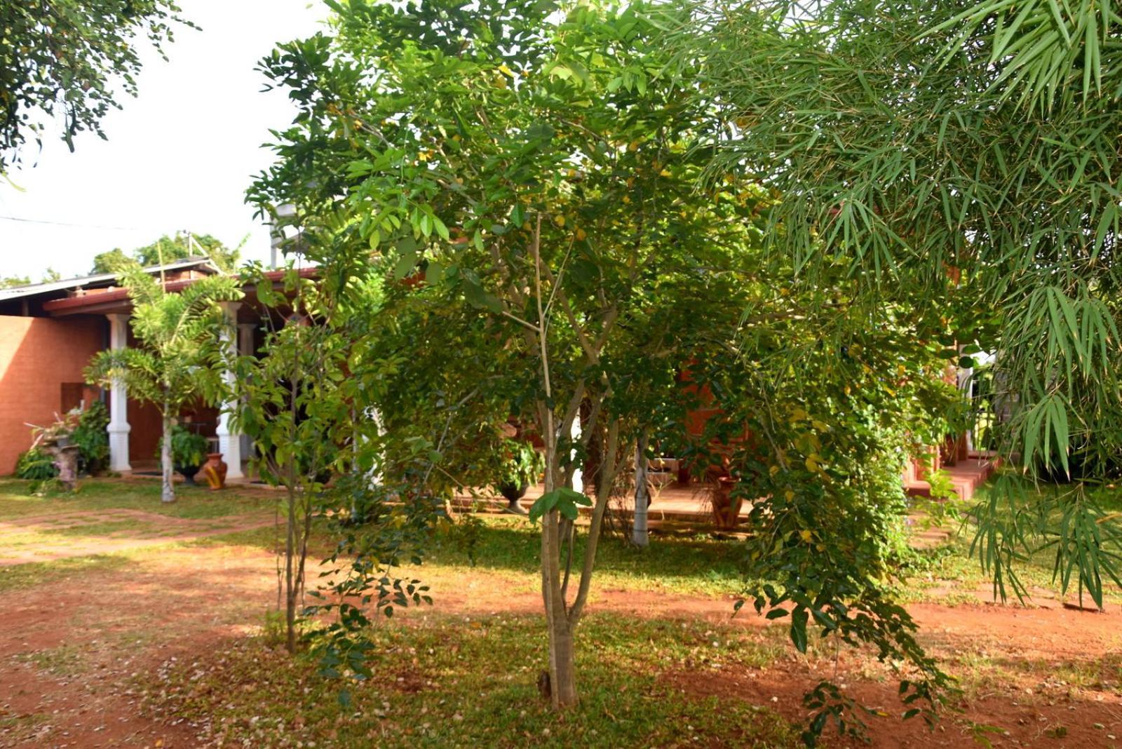 Meegahapokuna Resort Anuradhapura Exterior foto