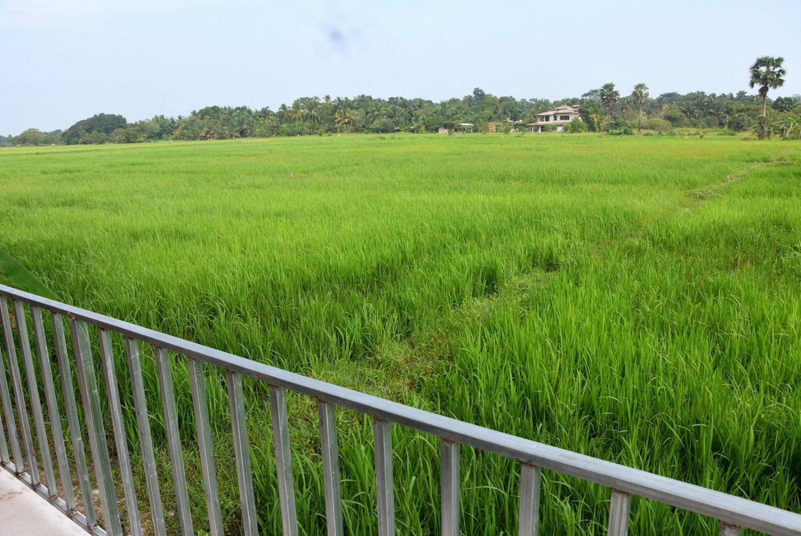 Meegahapokuna Resort Anuradhapura Exterior foto