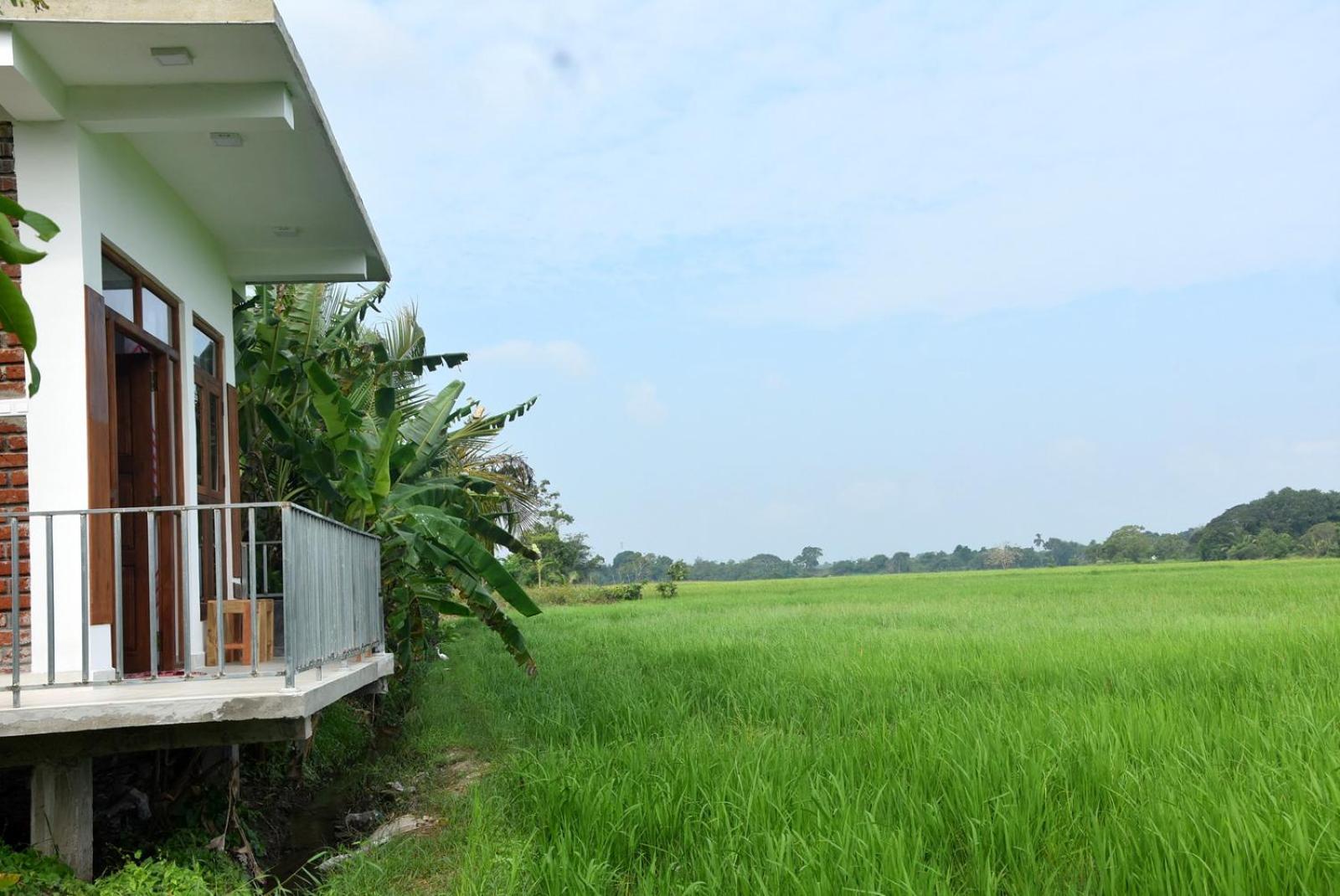 Meegahapokuna Resort Anuradhapura Exterior foto